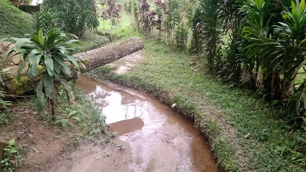 Fazenda à venda com 3 quartos, 66600m² - Foto 3