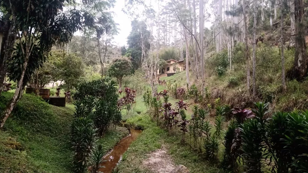 Fazenda à venda com 3 quartos, 66600m² - Foto 2