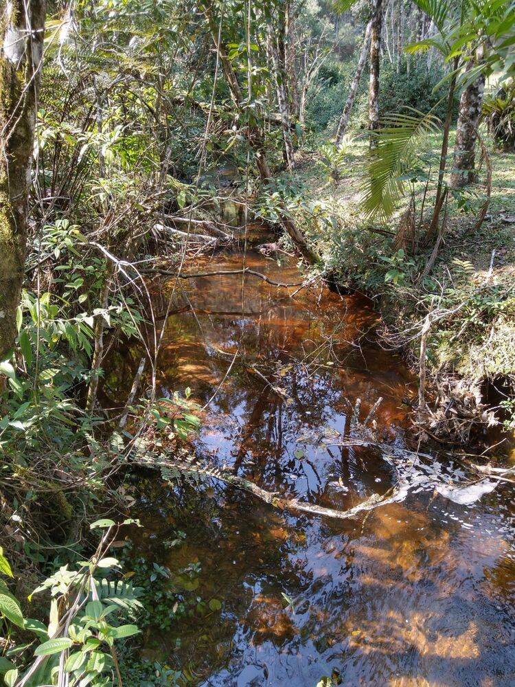 Chácara, 2 hectares - Foto 14