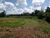 Chácara, 7000 m² - Foto 1