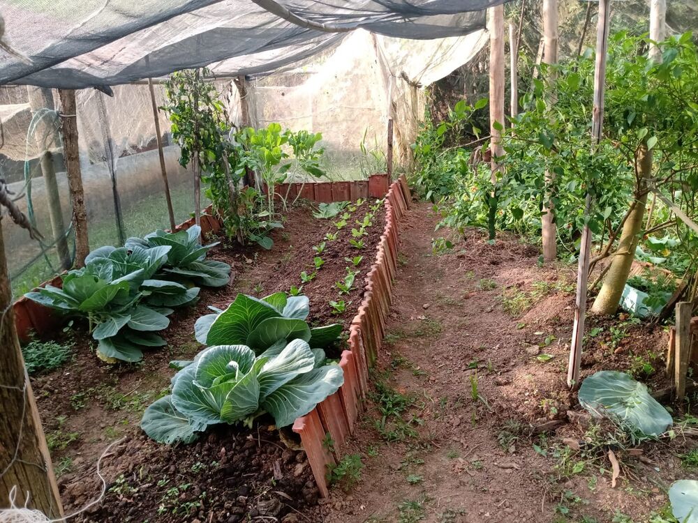 Sítio, 3 quartos, 1 m² - Foto 39