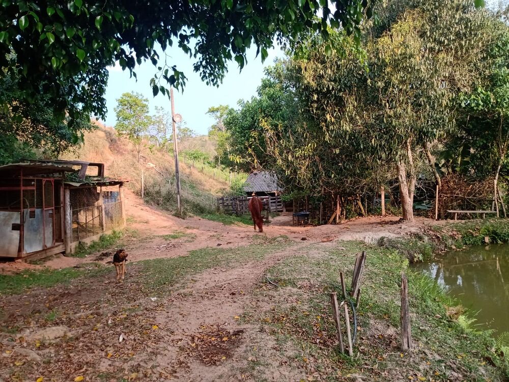 Sítio, 3 quartos, 1 m² - Foto 25