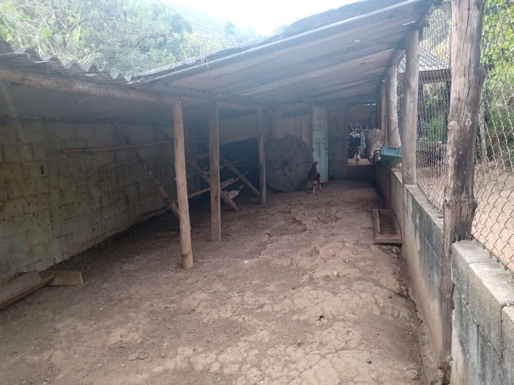 Sítio, 3 quartos, 1 m² - Foto 31