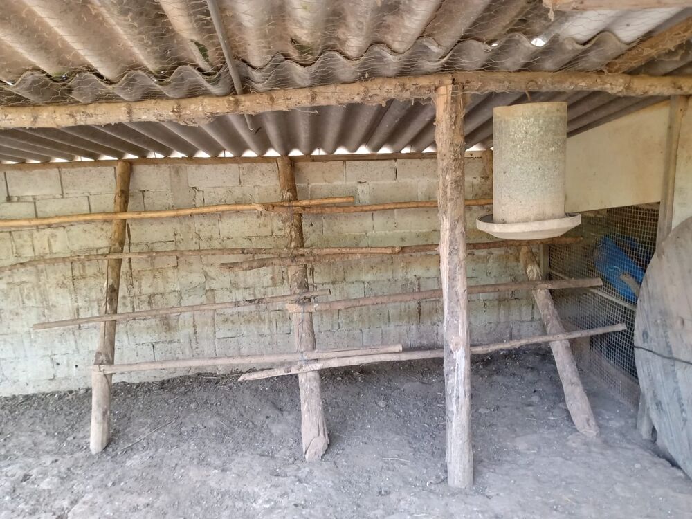 Sítio, 3 quartos, 1 m² - Foto 24