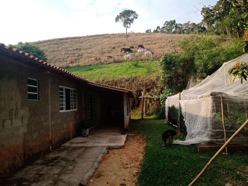 Sítio, 3 quartos, 1 m² - Foto 38