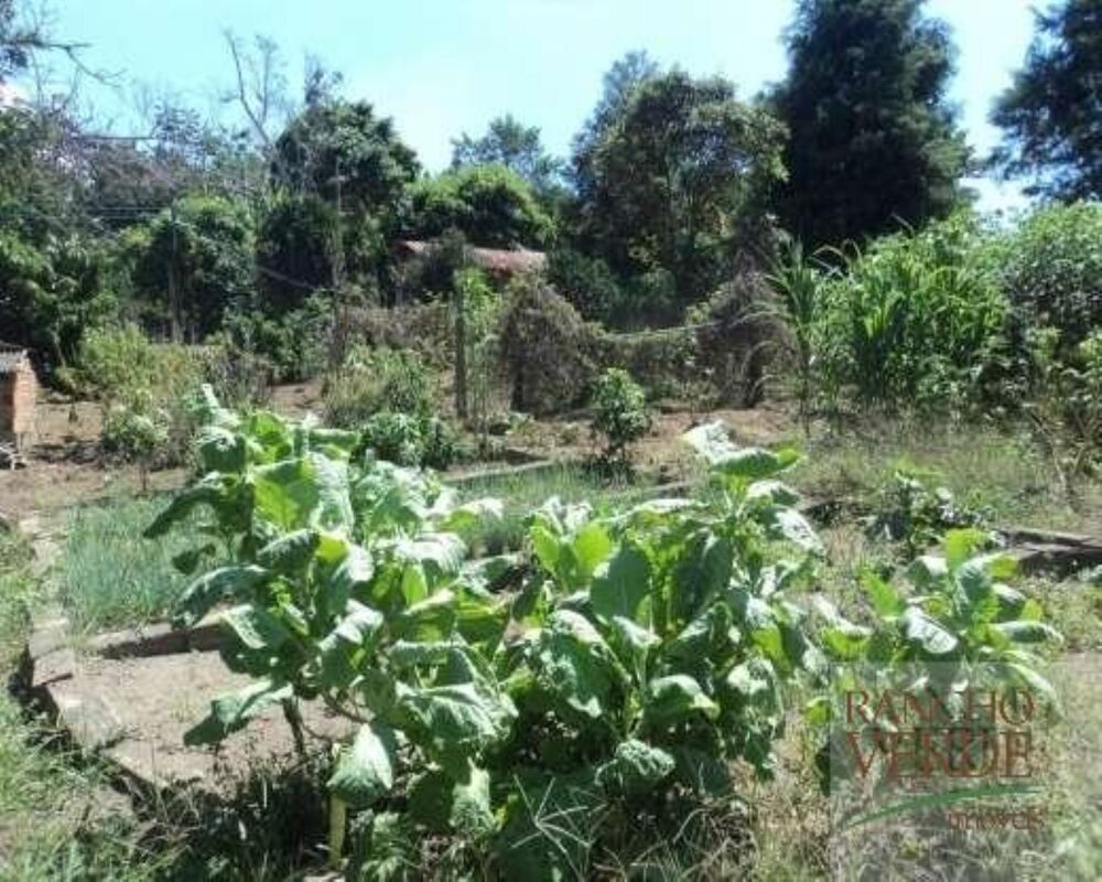 Chácara, 3 quartos, 3750 m² - Foto 4