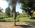 Sítio, 3 quartos, 31 hectares - Foto 1