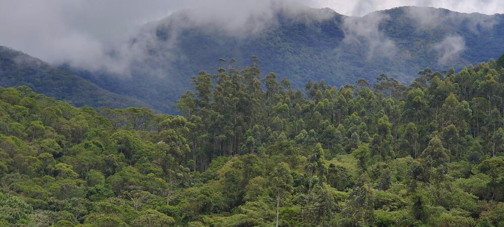 Sítio, 27 m² - Foto 4