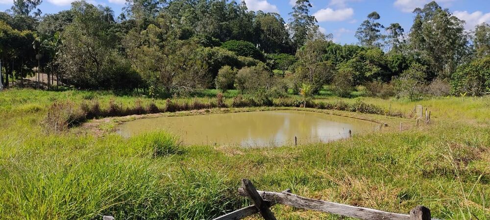 Sítio, 3 quartos, 4 hectares - Foto 3