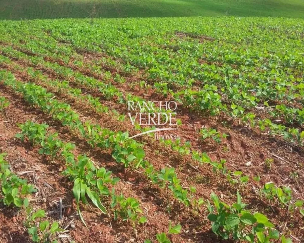 Fazenda à venda, 3993000m² - Foto 5