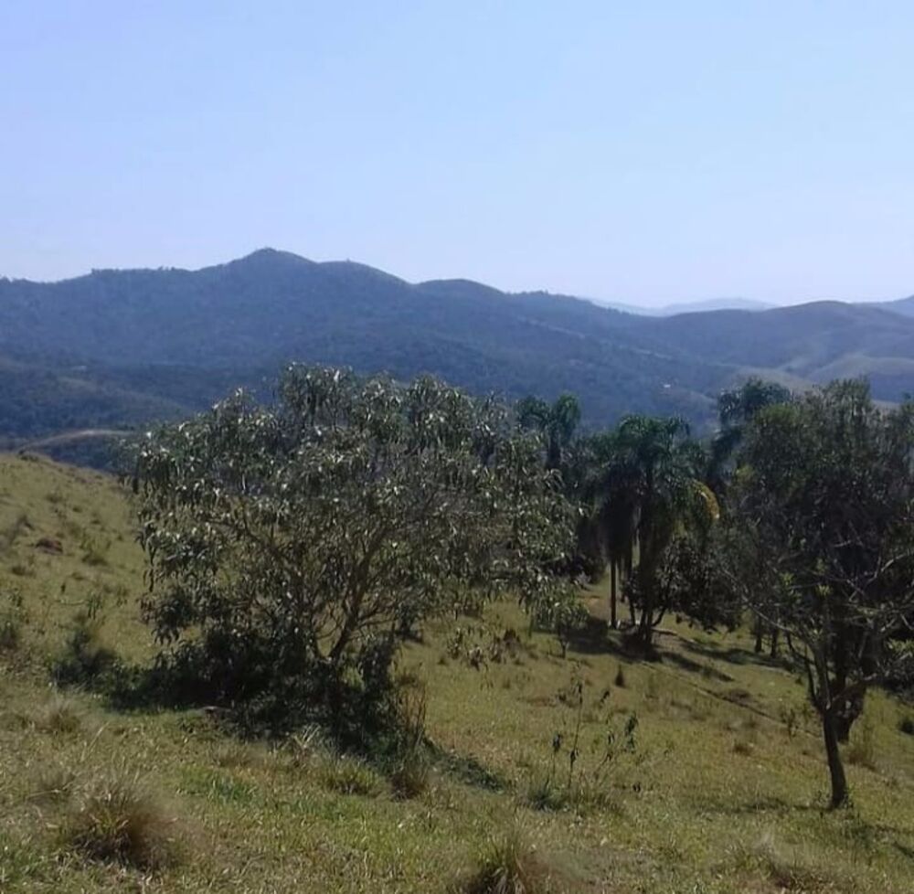 Haras e Área Rural Padrão à venda, 10000m² - Foto 3