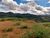 Fazenda, 10000 m² - Foto 2