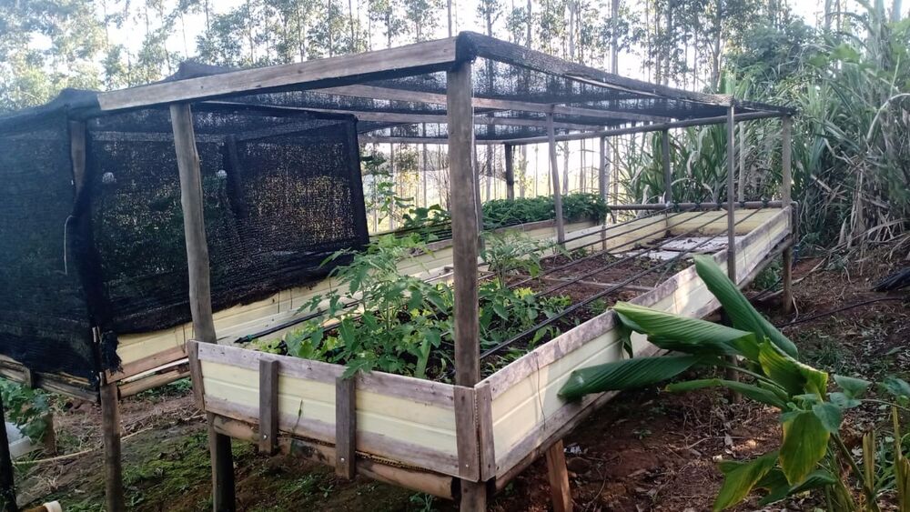 Chácara à venda com 2 quartos, 2500m² - Foto 13