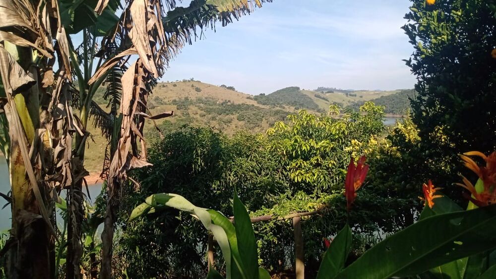 Chácara à venda com 2 quartos, 2500m² - Foto 16