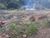 Fazenda-Sítio-Chácara, 18 hectares - Foto 2