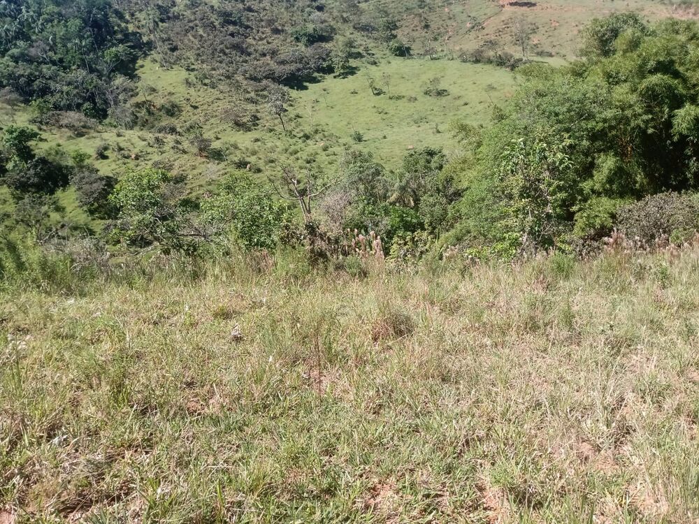 Fazenda, 8 m² - Foto 4