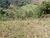 Fazenda, 8 m² - Foto 4