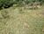 Fazenda, 8 m² - Foto 2