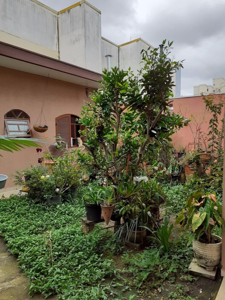 Casa, 4 quartos - Foto 7