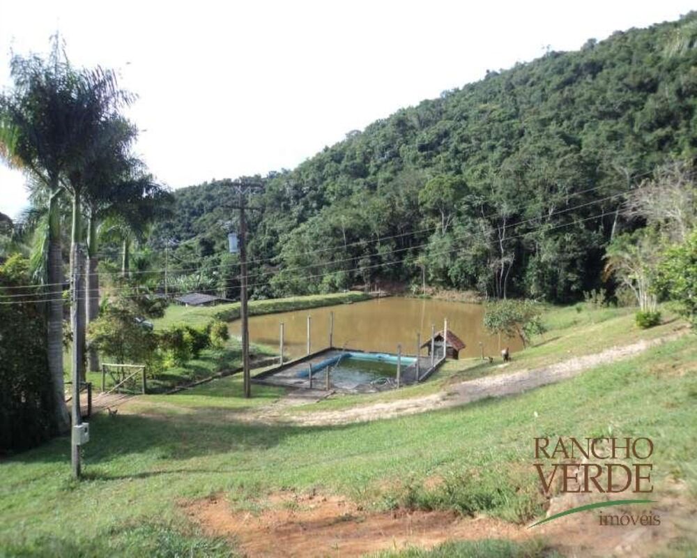 Fazenda, 208 hectares - Foto 18
