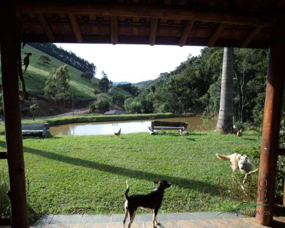 Fazenda, 208 hectares - Foto 14