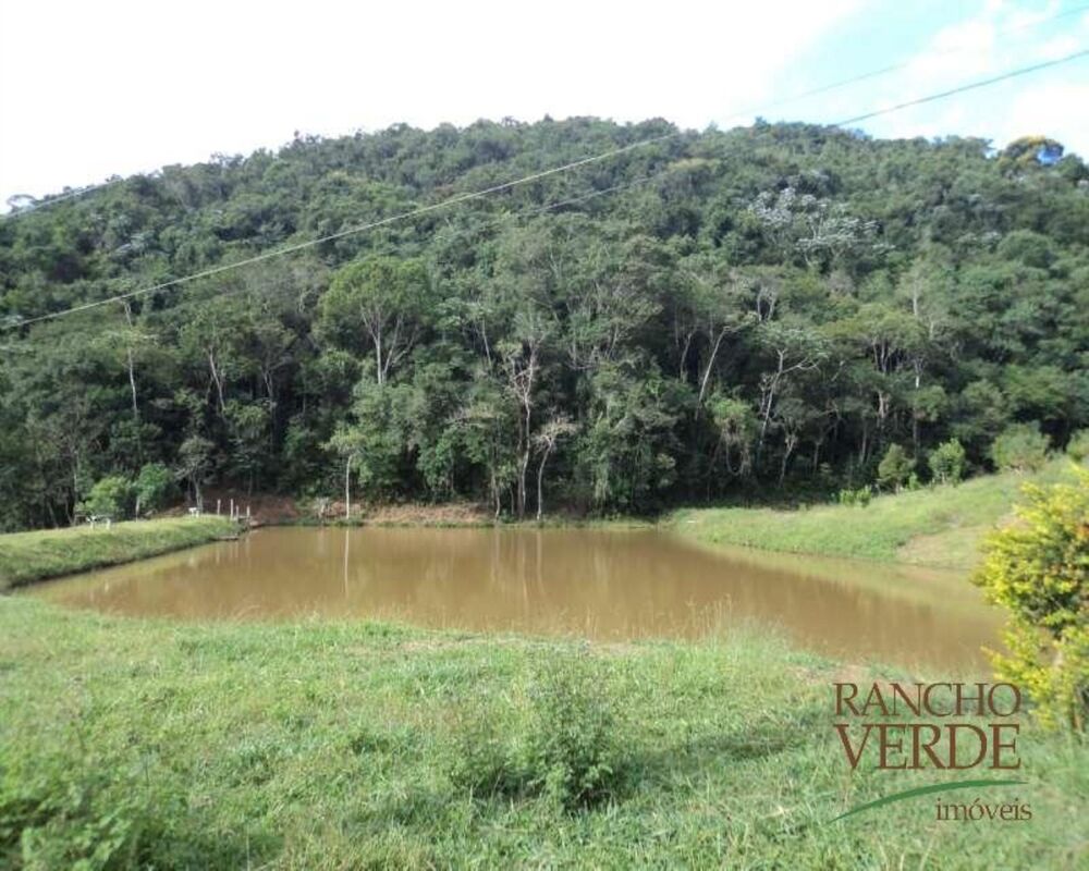 Fazenda, 208 hectares - Foto 6