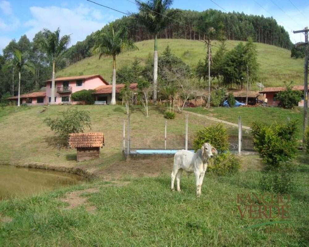 Fazenda, 208 hectares - Foto 24