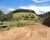 Fazenda-Sítio-Chácara, 208 hectares - Foto 4