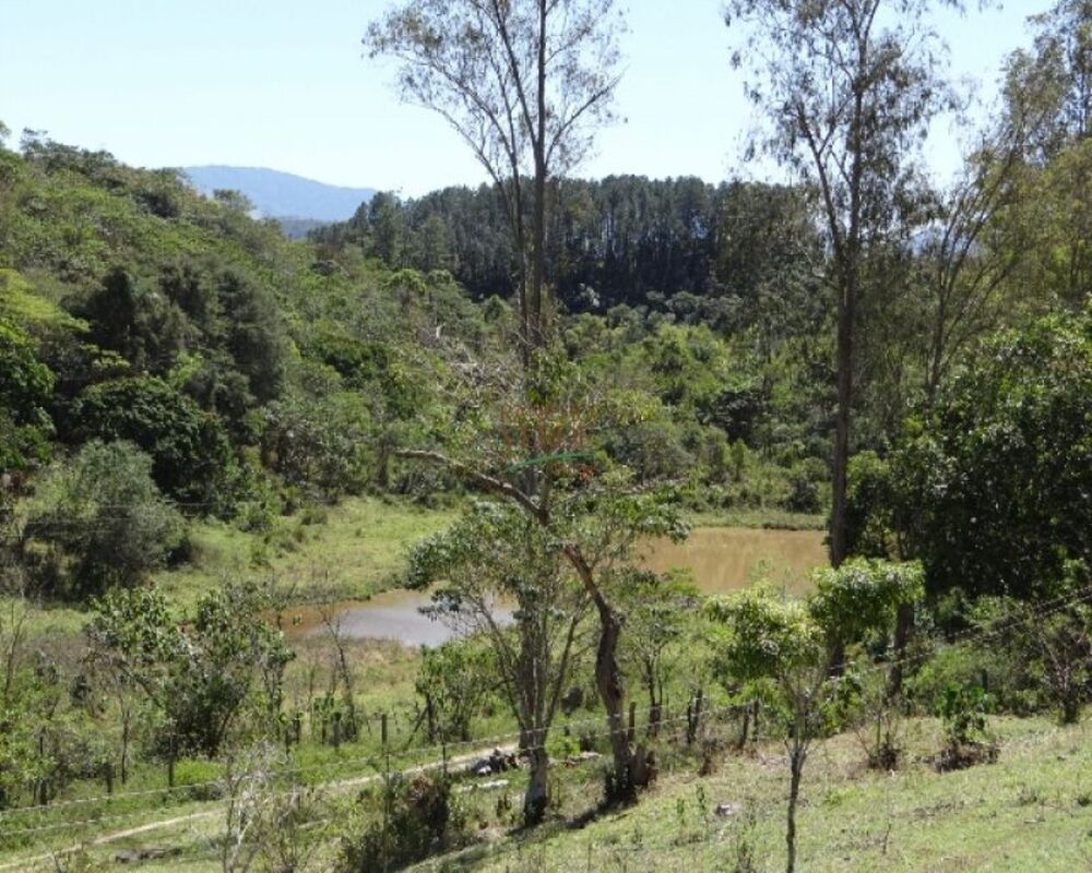 Fazenda à venda com 3 quartos, 726000m² - Foto 6