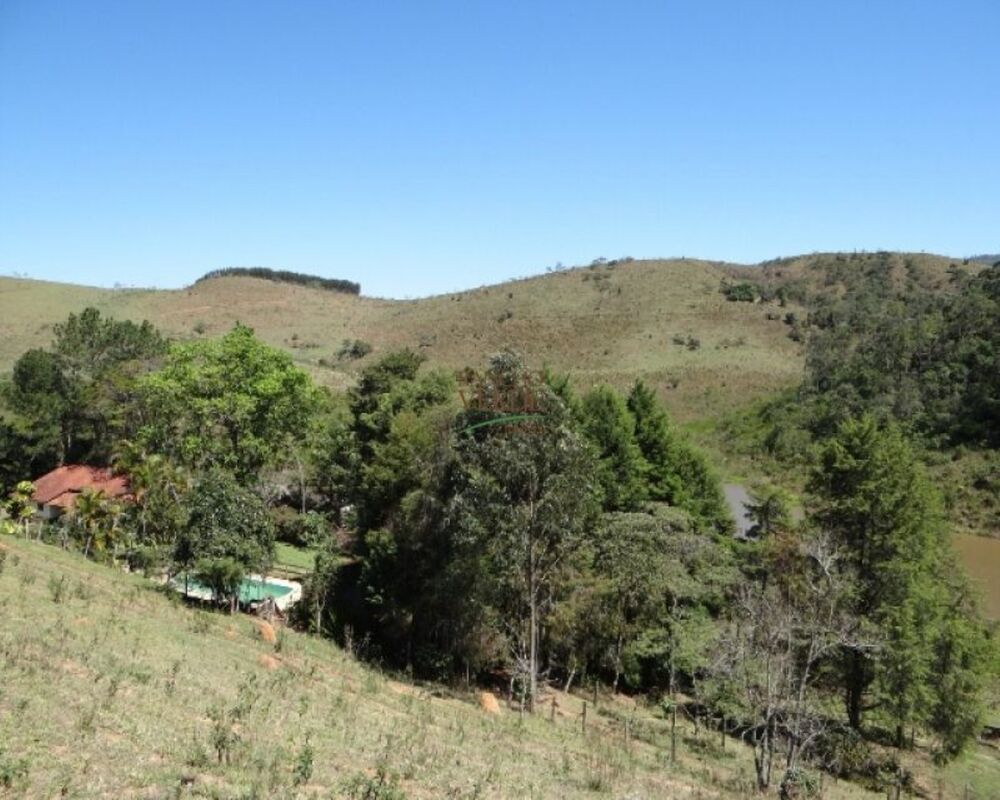 Fazenda à venda com 3 quartos, 726000m² - Foto 8