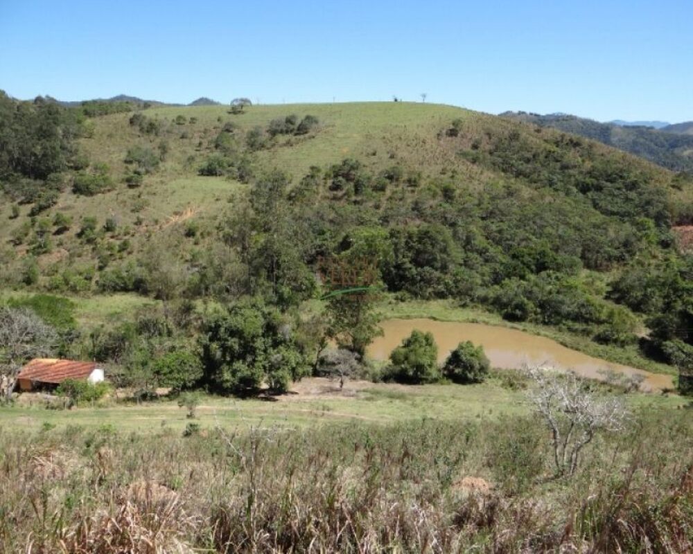 Fazenda à venda com 3 quartos, 726000m² - Foto 3