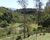 Fazenda, 73 hectares - Foto 6