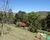 Fazenda, 73 hectares - Foto 7