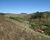 Fazenda, 73 hectares - Foto 4