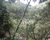 Fazenda, 7 hectares - Foto 5