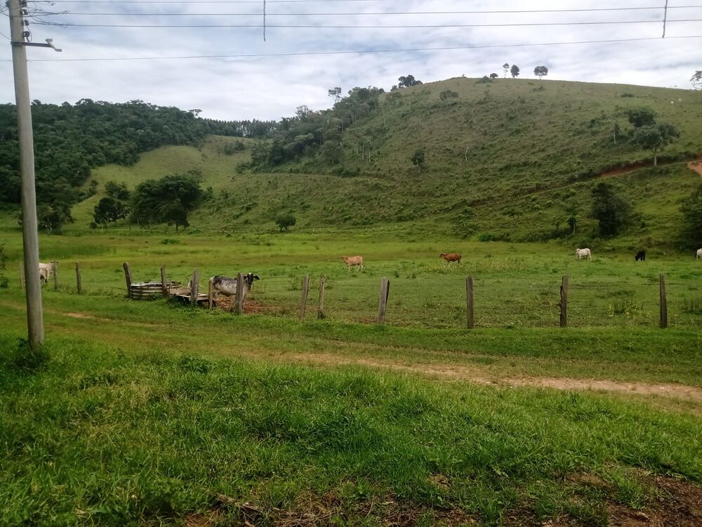 Sítio à venda com 4 quartos, 201m² - Foto 52