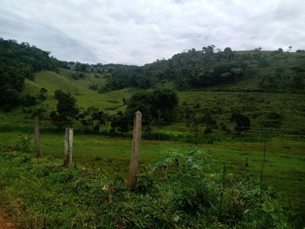 Sítio à venda com 4 quartos, 201m² - Foto 37