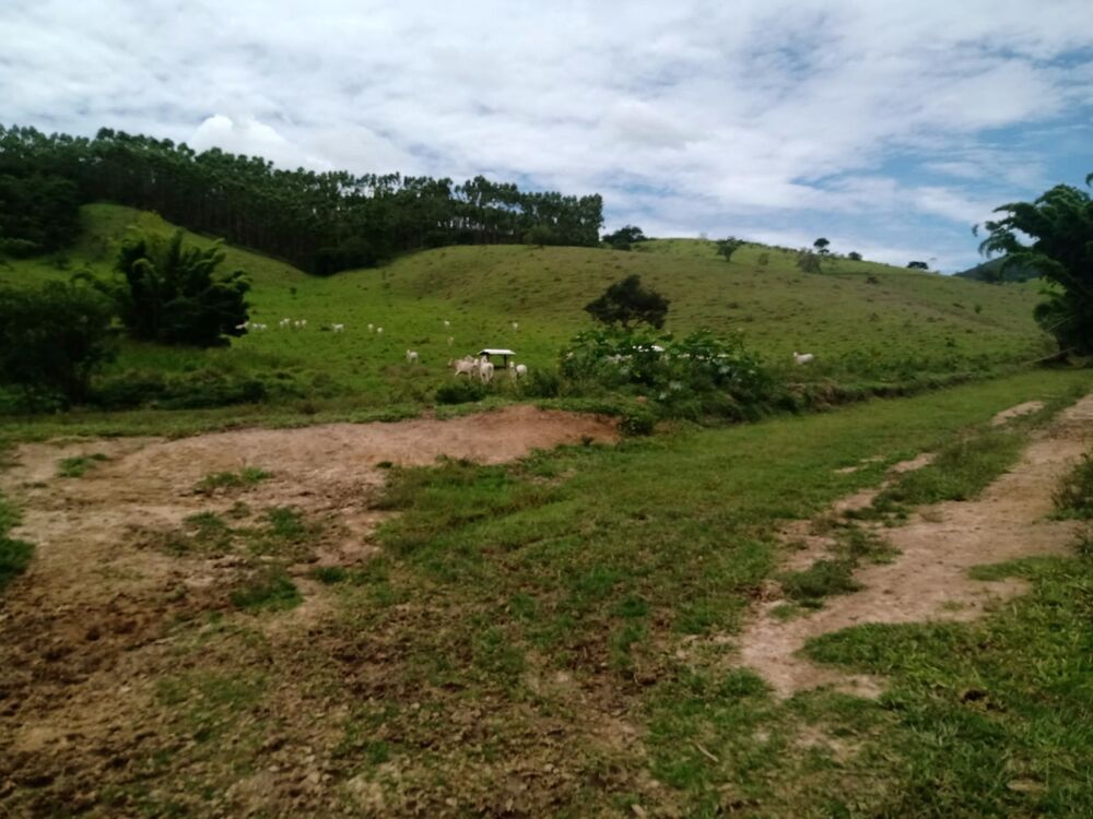 Sítio à venda com 4 quartos, 201m² - Foto 38