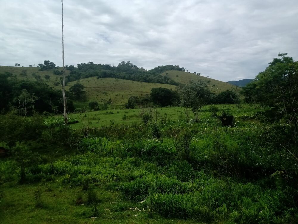 Sítio à venda com 4 quartos, 201m² - Foto 56