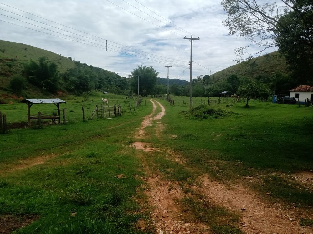 Sítio à venda com 4 quartos, 201m² - Foto 55