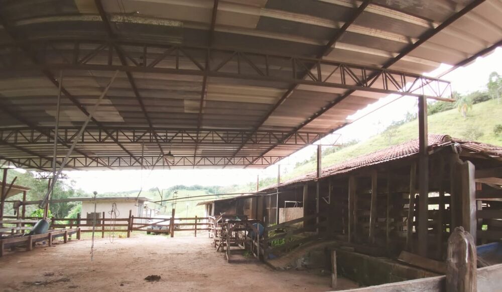 Sítio à venda com 4 quartos, 201m² - Foto 3