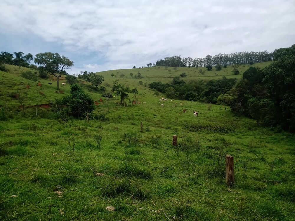Sítio à venda com 4 quartos, 201m² - Foto 36