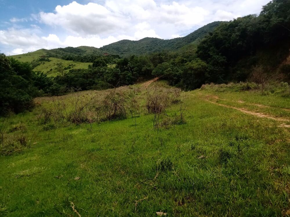 Sítio à venda com 4 quartos, 201m² - Foto 29