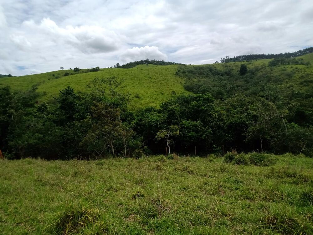 Sítio à venda com 4 quartos, 201m² - Foto 28