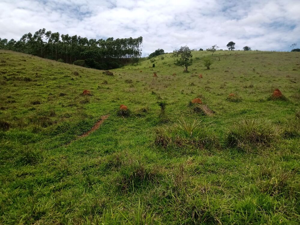 Sítio à venda com 4 quartos, 201m² - Foto 30