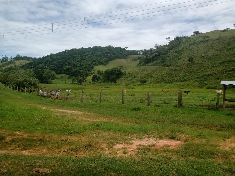 Sítio à venda com 4 quartos, 201m² - Foto 48
