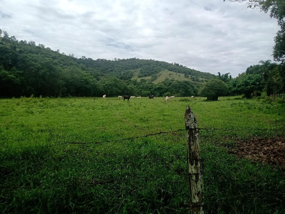 Sítio à venda com 4 quartos, 201m² - Foto 51