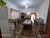 Sítio, 2 quartos, 13 m² - Foto 3