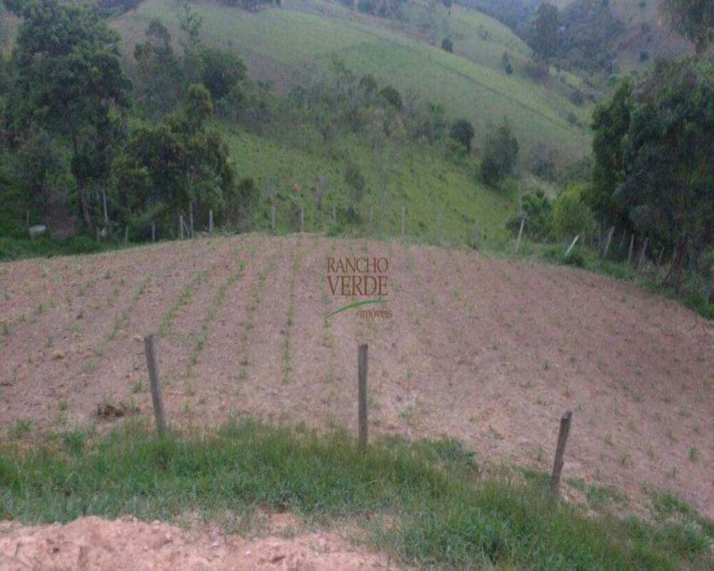 Sítio, 2 hectares - Foto 4