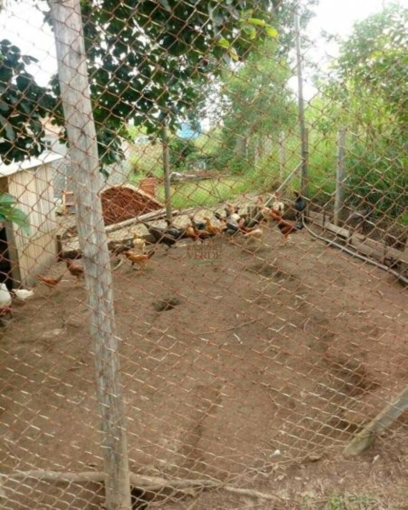 Sítio, 2 hectares - Foto 8